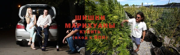 бошки Нея